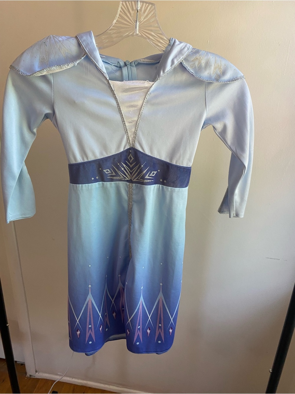 Disney Frozen 2 Elsa Costume Dress Girls Size __